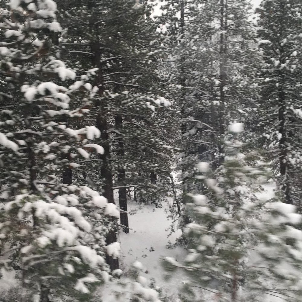 Meet your Posher, Evyn